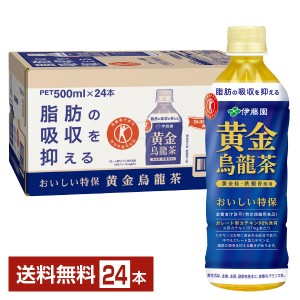 特定保健用食品 伊藤園 黄金烏龍茶 500ml ペットボトル 24本 1ケース トクホ 送料無料