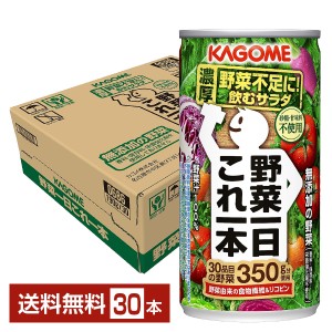 カゴメ 野菜一日これ一本 190g 缶 30本 1ケース 送料無料