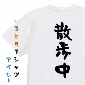 ネタ系半袖Tシャツ【散歩中】おもしろTシャツ ネタTシャツ 文字Tシャツ ギフト プレゼント 贈り物 メッセージ 名言 団体 ウケ狙い 誕生日