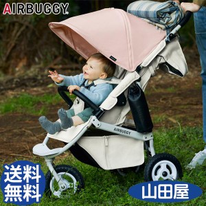 ベビーカー バギー 新生児 A型 エアバギー ココプレミア フロムバース オーバルフレーム AIRBUGGY 送料無料