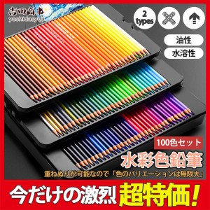 色鉛筆 水彩 お絵かき 水彩画 100色セット プレゼント クレヨン 文房具 油性 筆記具 絵の具セット カラーサインペン 入学 入園 祝い 塗り