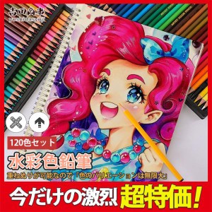 色鉛筆 水彩 お絵かき 120色セット 水彩画 プレゼント 文房具 筆記具 絵の具セット カラーサインペン 入学 入園 祝い 画材 クリスマス