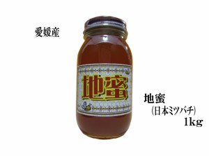 生はちみつ 非加熱 地蜜1000g 日本ミツバチの蜂蜜 宇和養蜂 愛媛産 国産