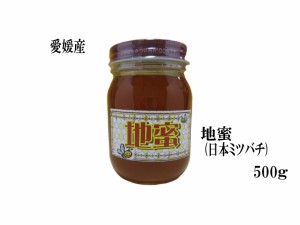 生はちみつ 非加熱 地蜜500g 日本ミツバチの蜂蜜 宇和養蜂 愛媛産 国産