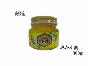 生はちみつ 非加熱 みかん蜂蜜300g みかんの郷のはちみつ 宇和養蜂 愛媛産 国産