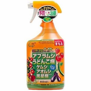 キング園芸　ガーデンアシストクィーンスプレー　９５０ｍｌ