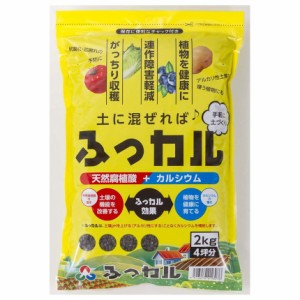 朝日工業 ふっカル 2kg