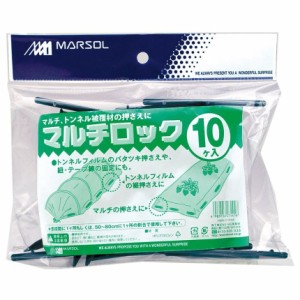 日本マタイ マルチロック 10本入