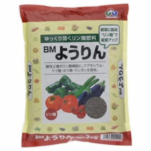 朝日工業 BMようりん 2kg