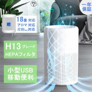 空気清浄機 小型 H13 USB 自動車用 卓上 花粉対策 コンパクト ウイルス対策 花粉症 軽量 省エネ ペット pm2.5 アロマ ウイルス除去 静音 