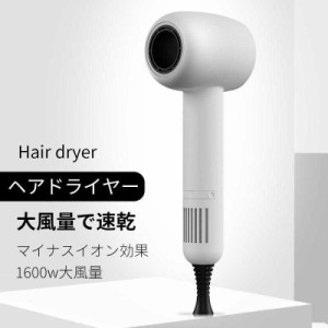 ヘアドライヤー 速乾 大風量 ドライヤー マイナスイオン 3段階調節可能 高級 温度調整 風速調整 冷熱風 恒温 超軽量 美髪 過熱保護 母の