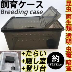 飼育ケース 飼育ケージ 飼育容器 大 Lサイズ たらい付き 台付き 隠し室付き カブトムシ クワガタムシ 2色 昆虫 透明 虫篭 豪華 幼虫 自由