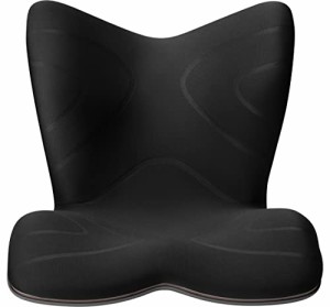 スタイル プレミアム/Style PREMIUM MTG(エムティージー) [メーカー純正品] 姿勢矯正 骨盤サポートチェア 座椅子 (ブラック
