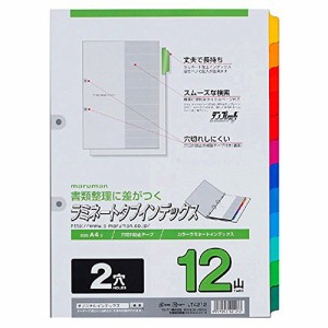 マルマン インデックス A4 2穴 インデックスシート 12山 1組 10冊 LT4212