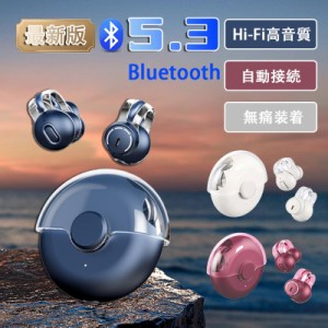 ワイヤレスイヤホン Bluetooth 5.3 ブルートゥースイヤホン タッチ制御 左右分離型 防水 最大8時間持続再生 Hi-fi 超軽量 耳掛け式 プレ