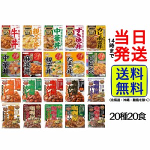 大人気 レトルト 食品 20種類詰め合わせ Aセット【パッケージ変更、終売などにより内容が変更される場合もございます。】