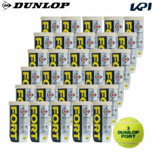 【365日出荷】DUNLOP（ダンロップ）「FORT（フォート）[2個入]1箱（30缶/60球）」テニスボール 『即日出荷』