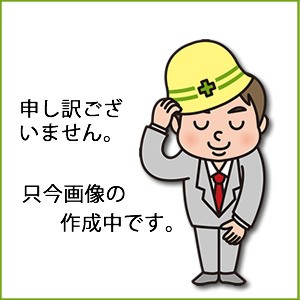 エスコ ESCO 【代引不可】 【個人宅不可】 EA899AH-21N AC100V/ 840W 掃除機（サイクロン式/ EA899AH-21N [A230101]