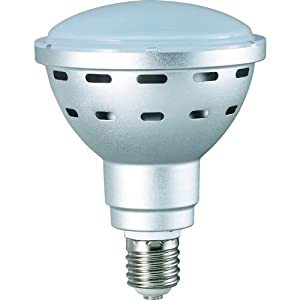 ハタヤリミテッド ＬＥＤ投光器  45WLED電球 LDR45N-H110 [A230101]