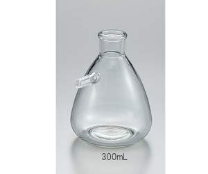 アズワン AS ONE 吸引ろ過瓶 300ml 2-9141-03 [A012014]