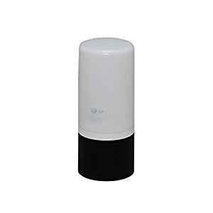 アイリスオーヤマ IRIS 電池式ガーデンセンサーライト ブラック/ホワイト ZSL-SEW [B030104]