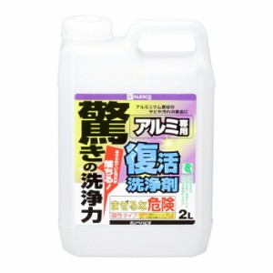 カンペハピオ ALESCO 復活洗浄剤 アルミ用 2L No.00017660021020 [A012601]