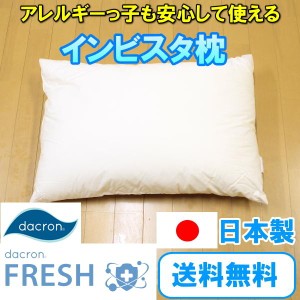 インビスタ枕 43×63cm 日本製 国産 送料無料 アレルギー対応 洗える掛け布団 ダクロン ホロフィル 4穴