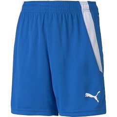 プーマ PUMA TEAMLIGA ゲームパンツ JR サッカー・フットサル ジュニアウェア 705145-02