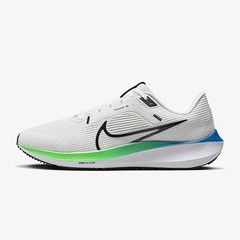 ナイキ NIKE ペガサス 40 メンズ ロード ランニングシューズ DV3853-006