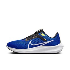 ナイキ NIKE ペガサス 40 メンズ ロード ランニングシューズ DV3853-401