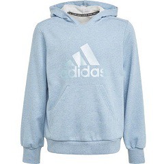 アディダス　adidas　ジュニア FUTURE ICON LOGO HOODY　トレーニング　ジュニアウェア　GM6956