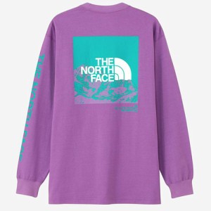 ノースフェイス THE NORTH FACE ロングスリーブ スリーブグラフィックティー メンズ 長袖Tシャツ 正規品 NT32438 AB