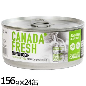 ペットカインド カナダフレッシュ キャットウェット ビーフ SAP 156g×24缶 猫 キャットフード 缶詰 総合栄養食 全猫種 全年齢 合成保存
