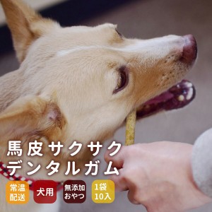 帝塚山ハウンドカム 馬皮サクサクデンタルガム 10本