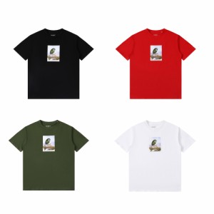 Carhartt カーハート SS23 アントリーフコンボモノグラムプリント半袖Tシャツ