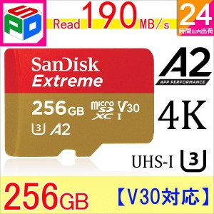 microSDXC 256GB SanDisk UHS-I U3 V30 4K A2対応 Class10 R:190MB/s W:130MB/s Nintendo Switch動作確認済 ゆうパケット送料無料