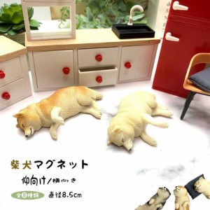 (送料無料) 柴犬 マグネット 冷蔵庫 かわいい ミニチュア 犬 わんこ フィギュア リアル 本物そっくり 黒柴 赤柴 白柴 日本犬 動物 グッズ