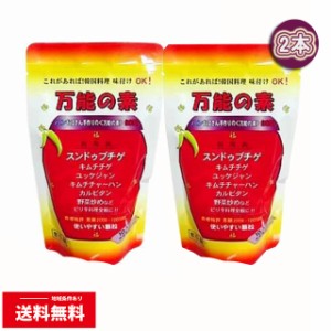 【美訓物産】 万能の素 100g　2個セット（3024）韓国食品/やんにょむ/万能/たでぎ/こちゅじゃん/コチュジャン/スープ/美味しい/おいしい/