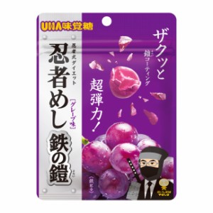 【10袋】UHA味覚糖 忍者めし 鉄の鎧 グレープ味 40g ハード食感 グミ ぐみ　大人気