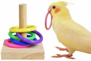 鳥 インコ オウム 知育玩具 輪投げ ゲーム 鳥おもちゃ 遊び リング おもちゃ 輪投げおもちゃ 噛むおもちゃ オウム 訓練 トレンニング リ