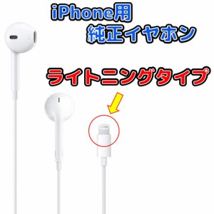 iPhone イヤホン 純正 ライトニングコネクタ対応 未使用品 ポイント消化に 送料無料 ポスト投函