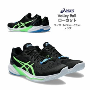 バレーボールシューズ ローカット SKY ELITE FF LO 2 フラッグシップモデル asics アシックス 1051A064 005 【送料無料】 スカイエリート