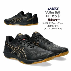 バレーシューズ ローカット ROTE JAPAN LYTE FF 3 asics アシックス 限定カラー 1053A054 003【送料無料】 ローテジャパンライト 軽量 メ