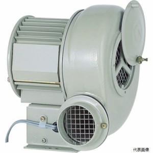 ＳＤＧ SF-55S 昭和 電動送風機 汎用シリーズ (0.04kW) 1384163