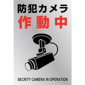 日本緑十字 047134 緑十字 イラストステッカー標識 防犯カメラ作動中 貼-134 220×150mm 2枚組 PET