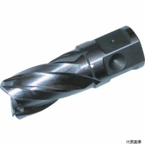 大見工業 HCSQ160 大見 25SQハイスカッター 刃径16.0mm