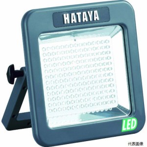 ハタヤリミテッド LWK-10 ハタヤ 充電式LEDケイ・ライト 屋外用 白色LED180個(10W)