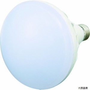 RTL-20W TRUSCO LED投光器用 20W LED球