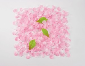 造花 桜吹雪 サクラ さくら 花びら 春の花　ピンク