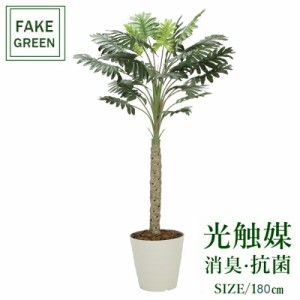 フェイクグリーン 観葉植物 フェイク 人工観葉植物  光触媒 造花 インテリア リアル おしゃれ お祝い 樹 木 室内  人気 空気清浄 玄関 リ